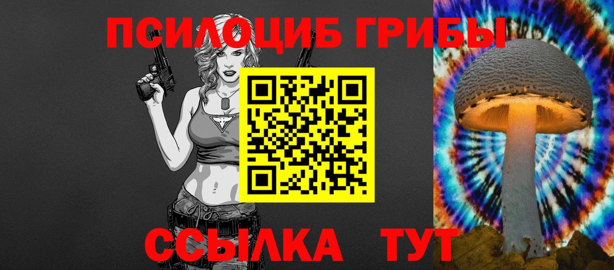 Приморско-Ахтарск  Галлюциногенные грибы Cubensis  Вход с VPN 